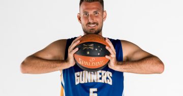 Ben Allen returns for Canberra Gunners