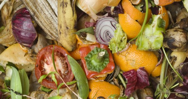 Food waste the latest front in the ACT's war on emissions