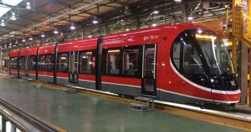 Can you think of any awesome names for the new Canberra Light Rail Vehicles?