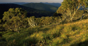 Canberra Day Trips: Namadgi National Park – where nature’s wonders are right on our doorstep