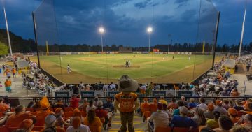 MIT Ballpark to receive $4.5 million upgrade in a huge boost for Canberra baseball