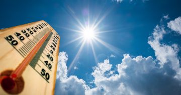 Beat the heat: Health warnings issued as capital set to sizzle