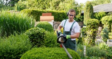 The best gardening services in Canberra