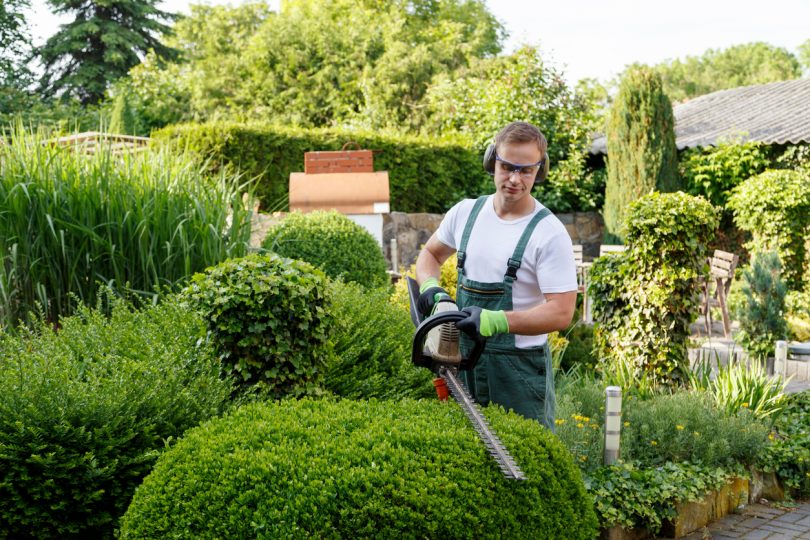 Garden Mowing