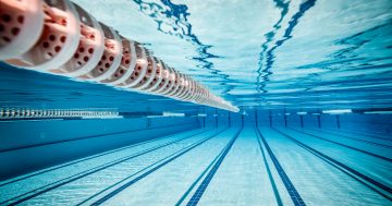 'You might want to clean that up,' man tells staff after pooing in pool