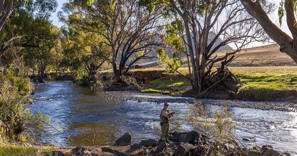 Canberra Day Trips: Ten things to love about Tumut