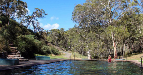 Canberra Day Trips: Discover the tranquil haven of Talbingo