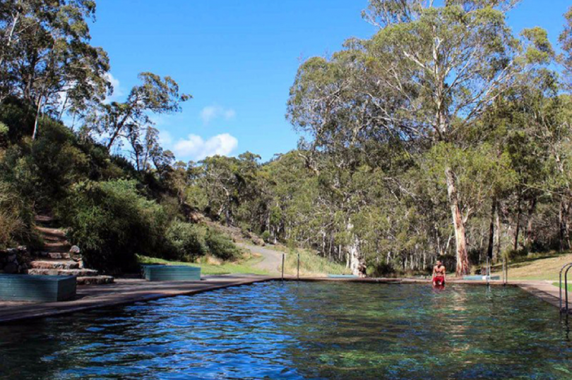 day trips from canberra with dogs