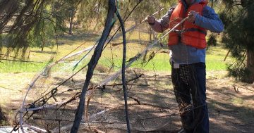 Giant illegal fish trap find prompts fresh warning from EPA