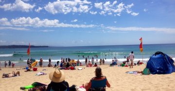Canberra swimmers safer on Tathra Beach this February