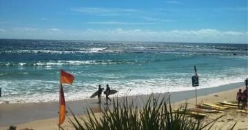 Canberra Day Trips: Fabulous food and plenty to do in Mollymook