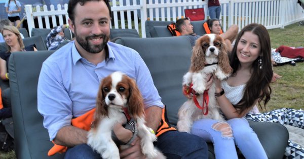 Crowds and pups out in force for opening night of Canberra OpenAir Cinemas
