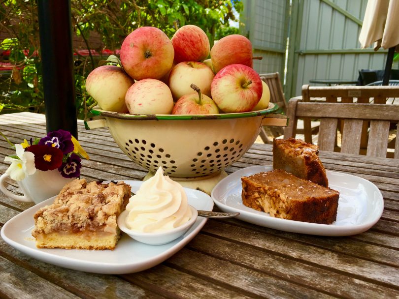 Sprout Eden are currently baking Vegan Apple Loaf and Apple Crumble Cake. Photo: Karen Lott.