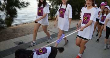 Walk to save lives at DonateLife Walk 2018