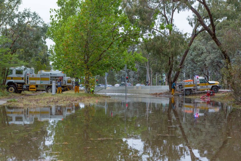 In the city near ANU. Photos: Jack Mohr.