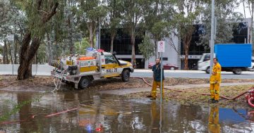 Are you in a flood zone? New online maps show ACT's risk spots