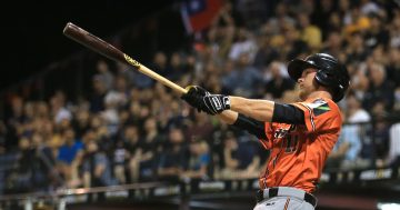 Batter up! Redeveloped MIT Ballpark a new home for Korean baseball team