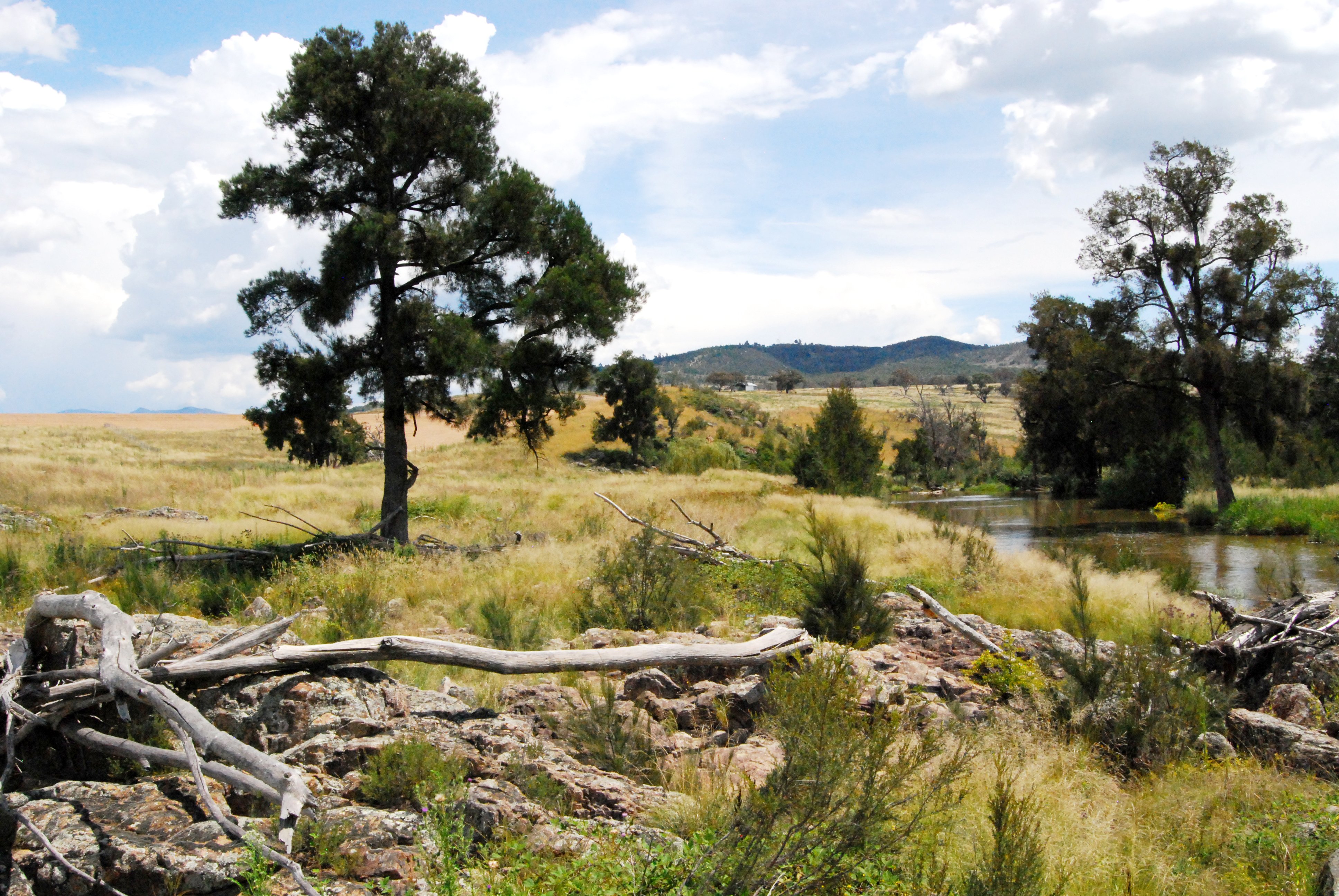 ACT Government seeks input on the management of Canberra's newest reserve