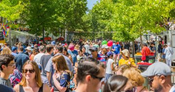 Why did organisers allow a Right to Life stall at the Multicultural Festival?