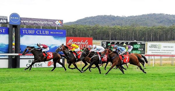 New stables for local and visiting horses at Sapphire Coast Turf Club