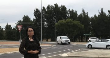 Tillyard Drive intersection upgrade stuck in Budget traffic