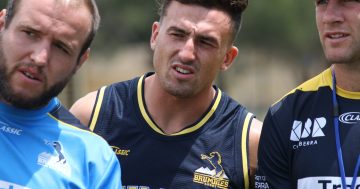 Banks wary of his former side as Brumbies prepare to face the Reds