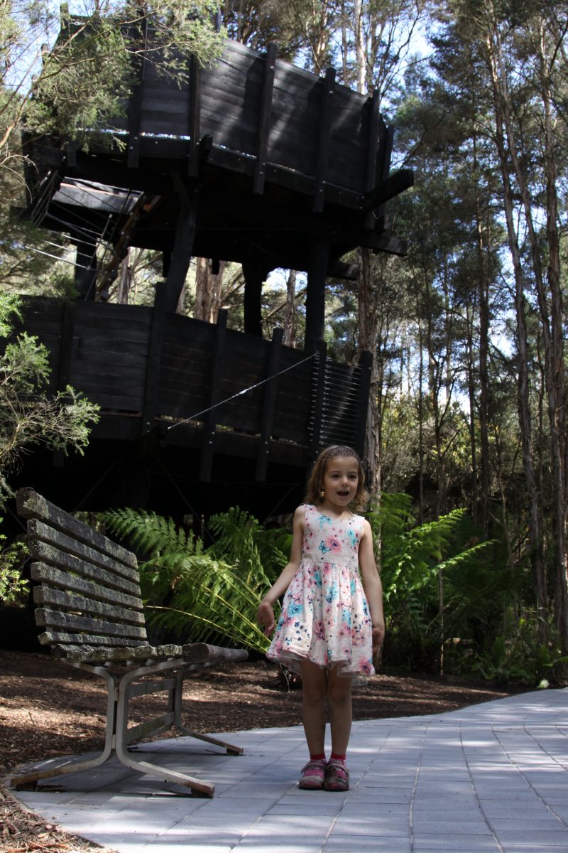 The treehouse central to the new trail is just as much a work of art as it is a practical structure. Photo. Aust National Botanic Gardens.