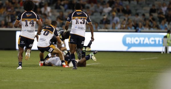 Brumbies return to the winner's circle with vocal home crowd behind them