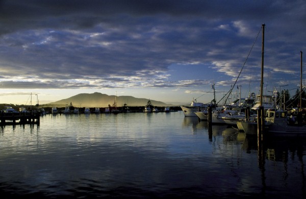 Bermagui Harbour most of the time. Photo: Sapphire Coast Tourism.