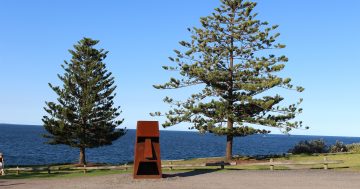 Sculpture Bermagui, on now - your head will spin