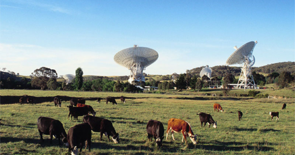 Canberra Day Trips: Explore outer space at the Canberra Deep Space Communication Complex