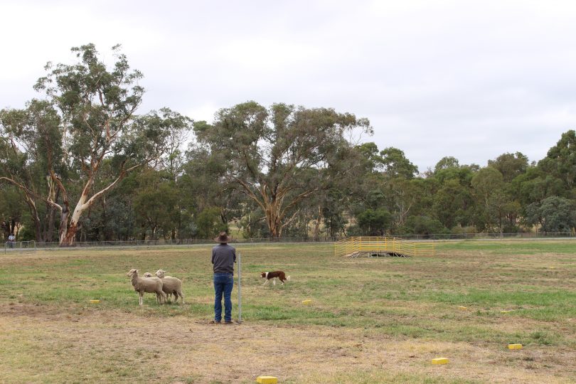 Spectators are welcome over the five days of the event. Photo: Ian Campbell