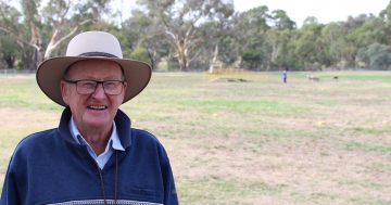 National Sheep Dog Trials at Hall - the next big thing in women's sport