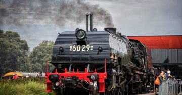 Prized steam engine's new owners to keep Garratt at NSW Rail Museum