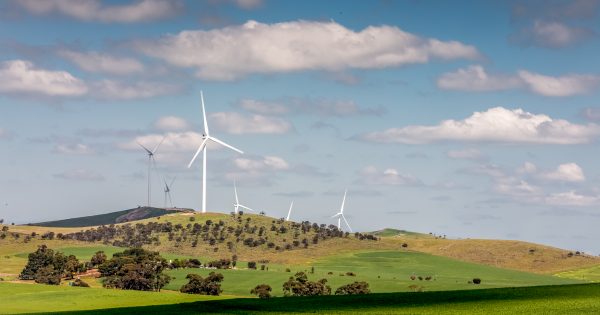 A South Australian wind farm helps the ACT create history