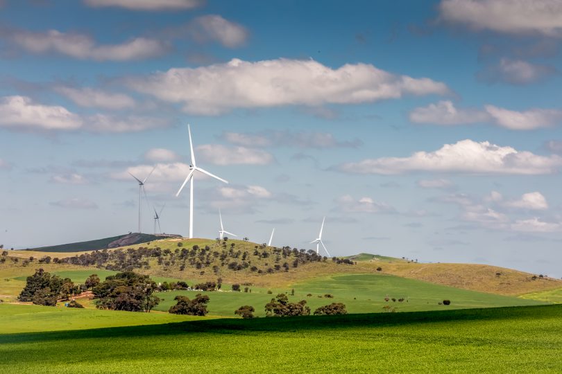 Hornsdale Wind Farm.