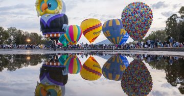 Nine things to do around Canberra this Canberra Day long weekend