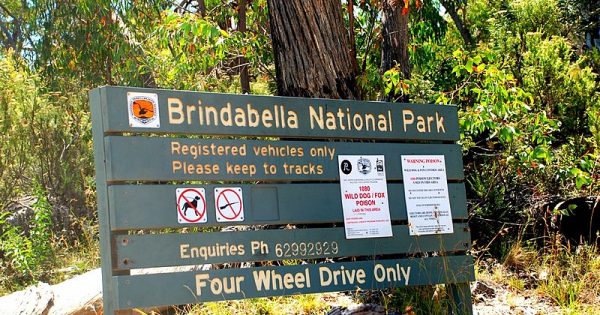 Canberra Day Trips: Discover beautiful Brindabella National Park