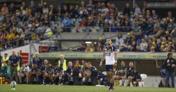 Win four gold tickets to the Brumbies' home match against the Sunwolves