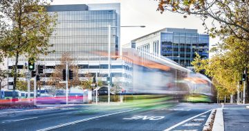 The extra fingers in Canberra's planning pie