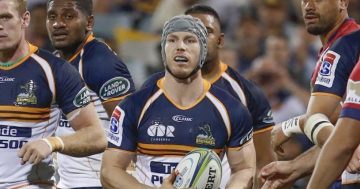 Pocock calls time on Super Rugby career