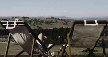 Naked Cubby Co launches glamping option for Canberra wine region