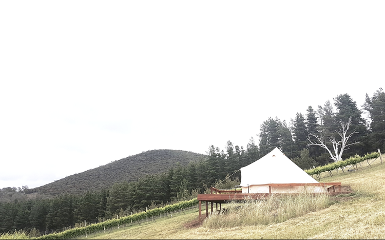 The 5m bell tent is permanently located on a custom built deck overlooking the vines. Photo: supplied.