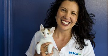 RSPCA chief is moving on to next challenge
