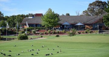 The best driving ranges in Canberra