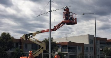 Infrastructure boom drives ACT business confidence to equal highest in Australia