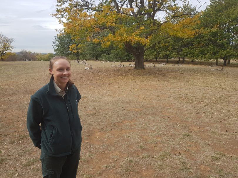 ACT Government Ecologist, Doctor Melissa Snape at the announcement of the 2018 ACT kangaroo cull and the release of three reports into kangaroo management in the ACT.