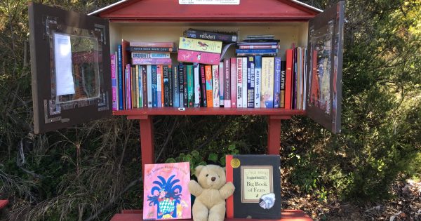 Street libraries double in Canberra with plan for one in every suburb