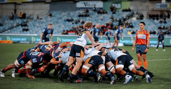 Brumbies chief warns small crowds might call full-time on ACT Super Rugby team