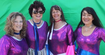 5000 Trundle along to 2018 ABBA festival